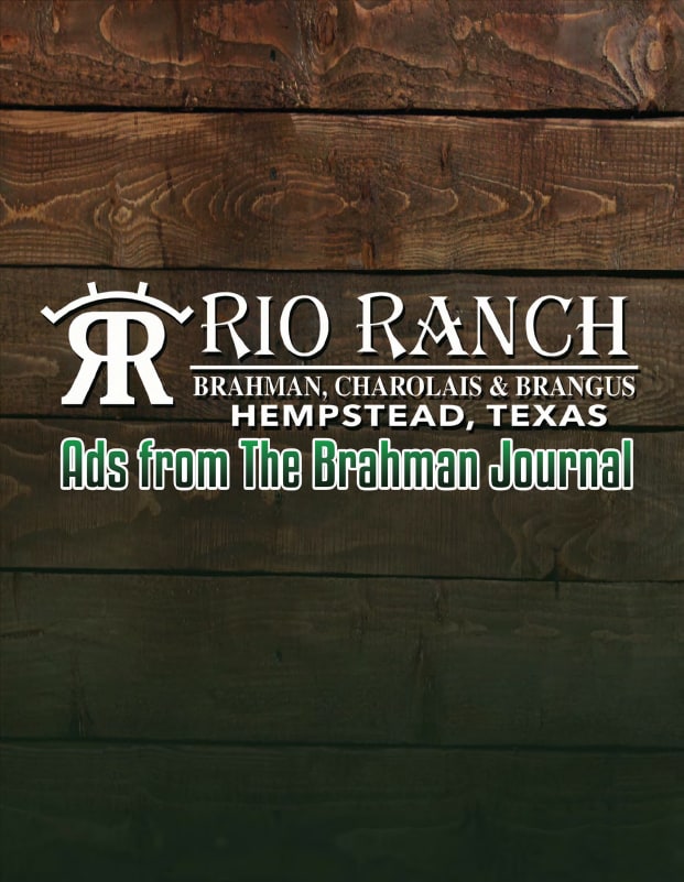 Rio Ranch flipbook